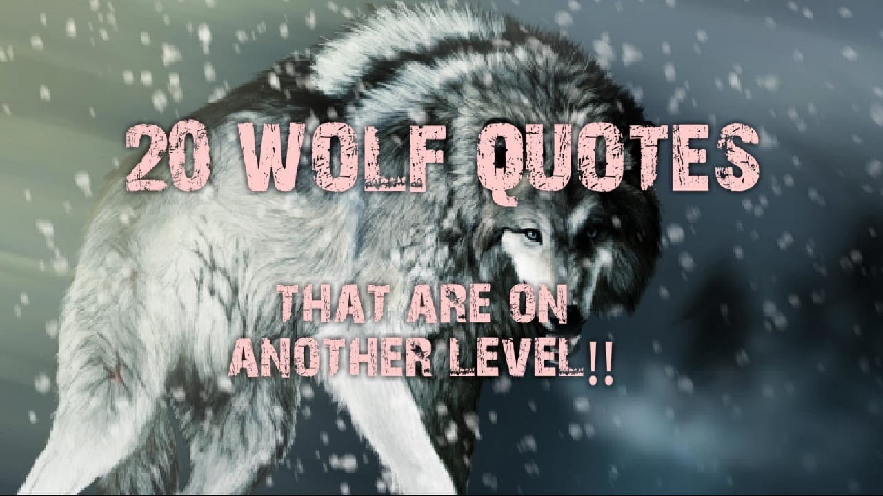 20 Wolf Quotes that are on another level!!