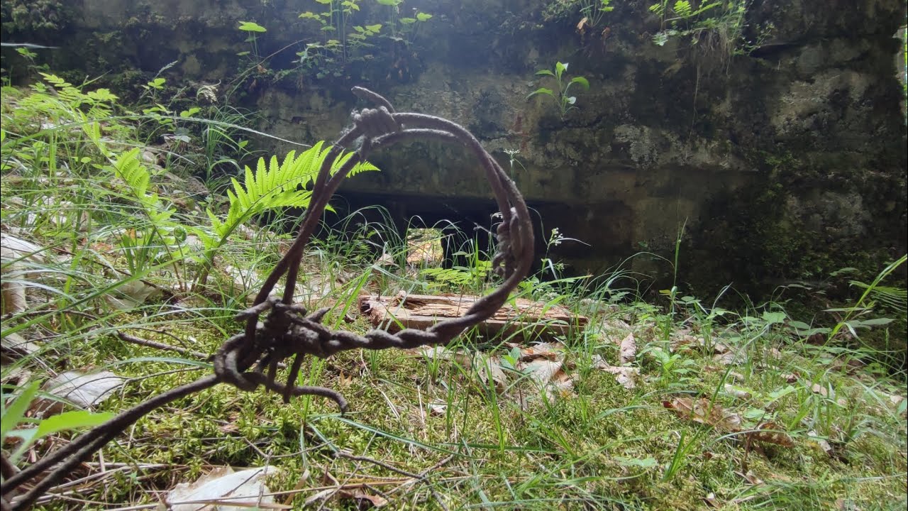 # 57 Randonnée Vosges au Reichackerkopf