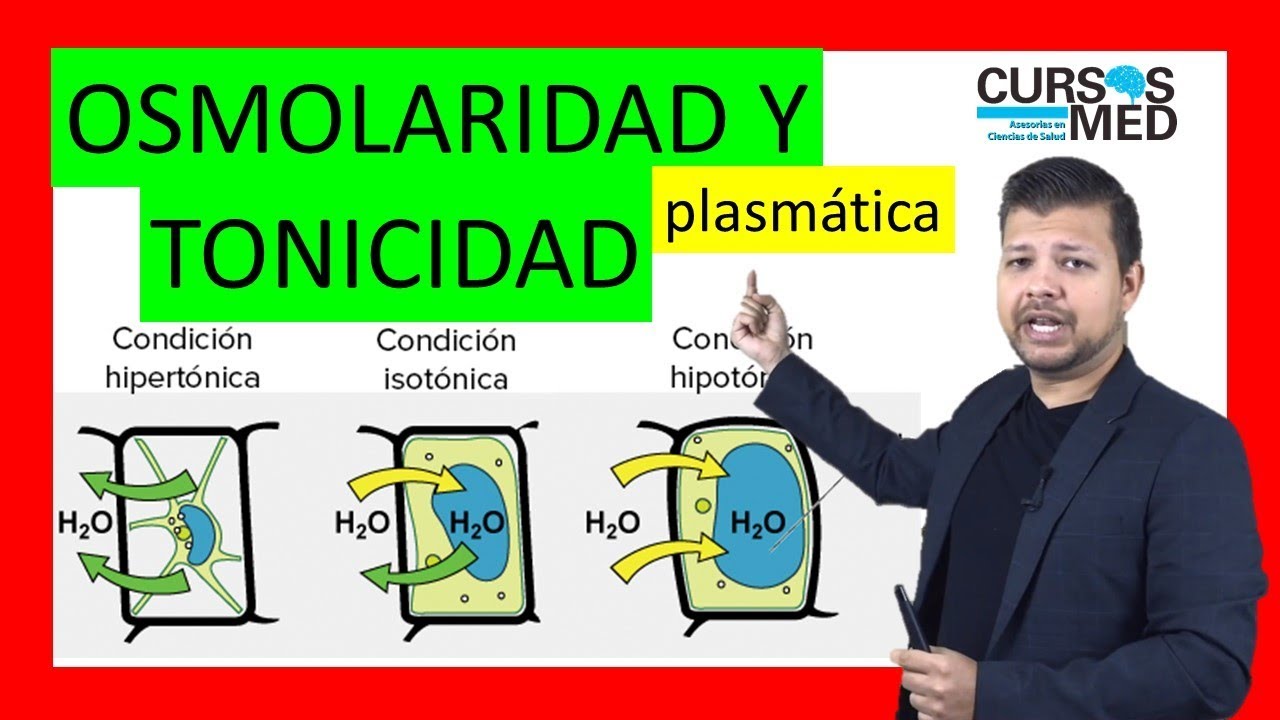 OSMOLARIDAD PLASM&Aacute;TICA, OSMOSIS Y TONICIDAD explicado F&Aacute;CIL.