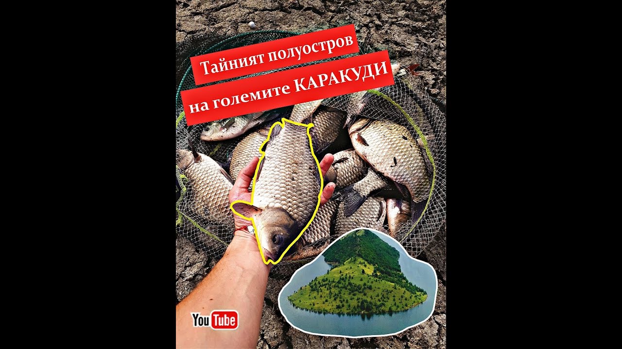Тайният полуостров на ГОЛЕМИТЕ КАРАКУДИ