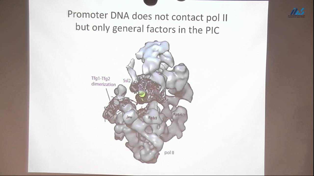 Roger Kornberg (Stanford University) The Molecular Basis of Eukaryotic Transcription