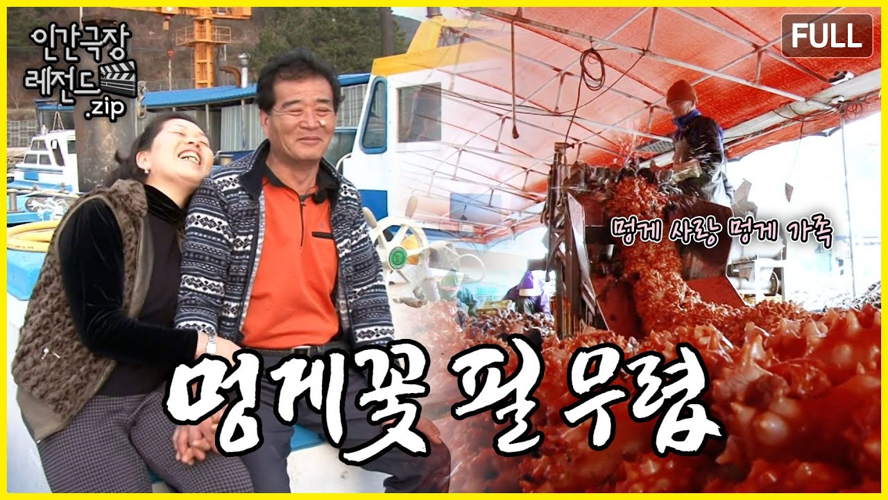 바다에서 멍게와 함께 살아가는 멍게 가족 🐚 '멍게 꽃 필 무렵' 몰아보기 | 인간극장 레전드.zip [KBS 방송]