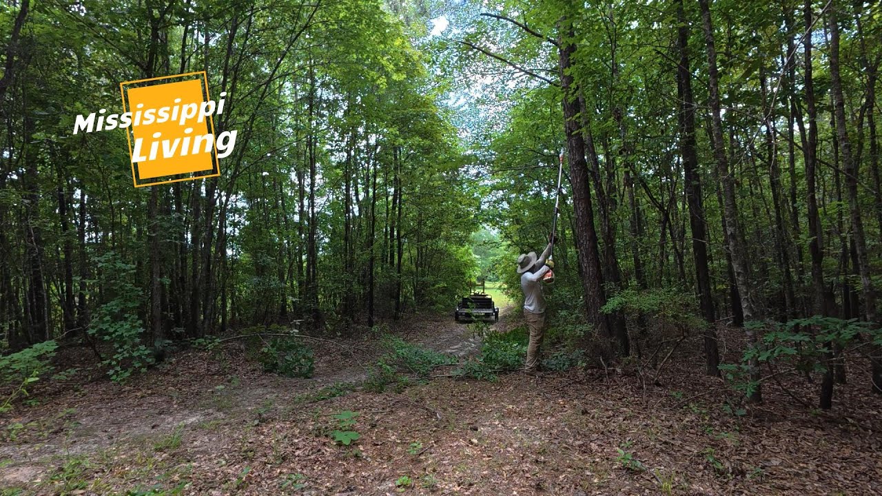 This Stihl HTA 50 Is Great At Clearing Up Trails