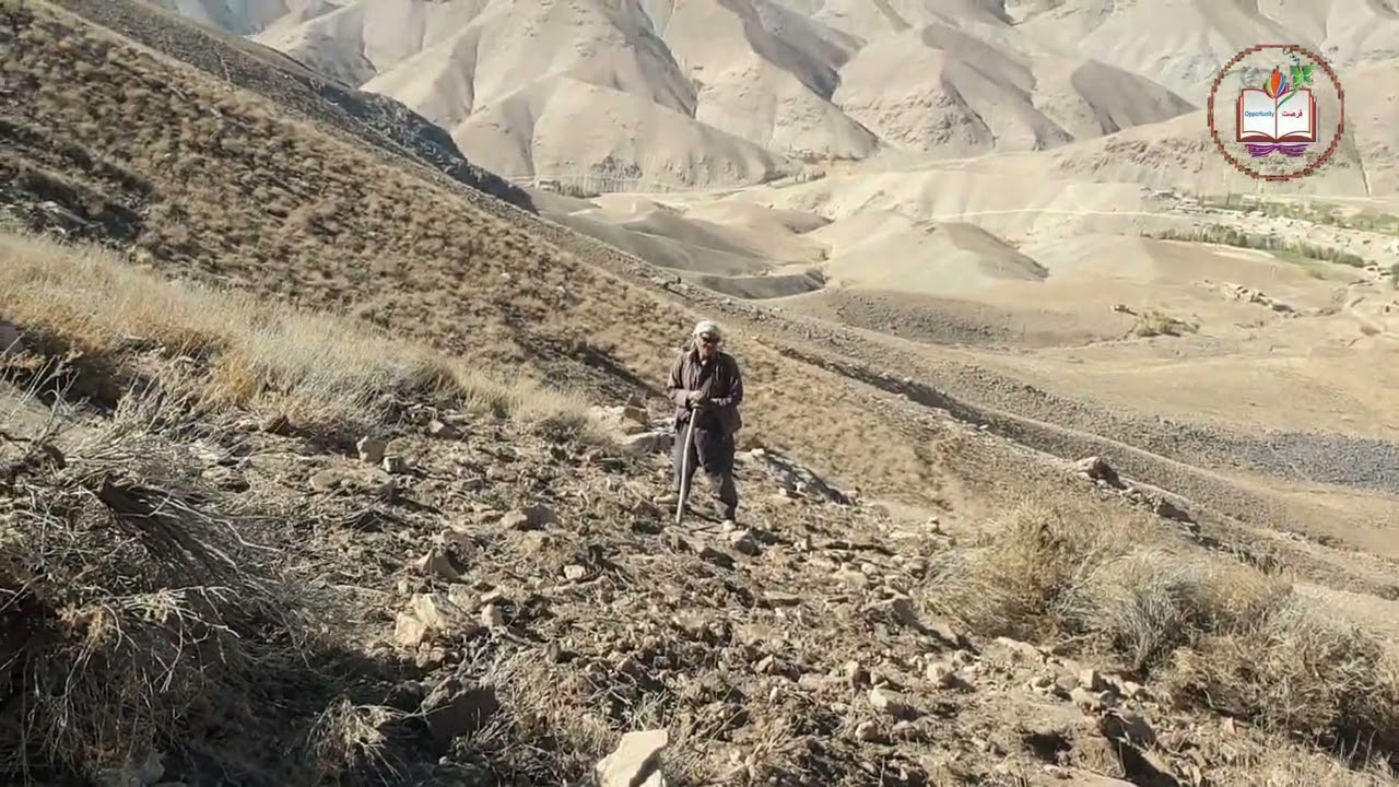 لذت کار در دل کوهستان هزارجات | خاشه، سوخت زندگی و گرمای دل‌ها 