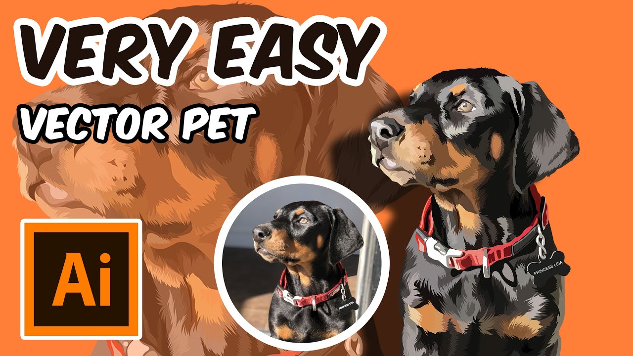 TUTORIAL VECTOR PET