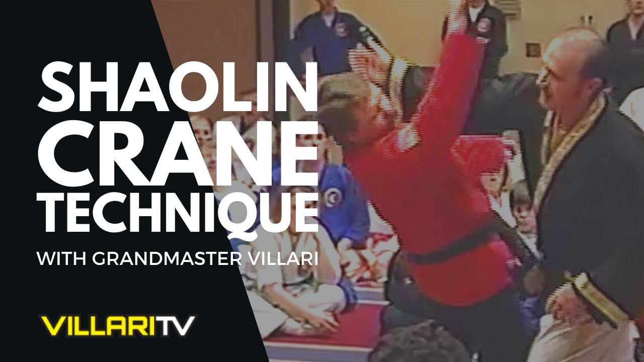 Shaolin Crane Technique Taught by Shaolin Kempo Karate Grandmaster Villari