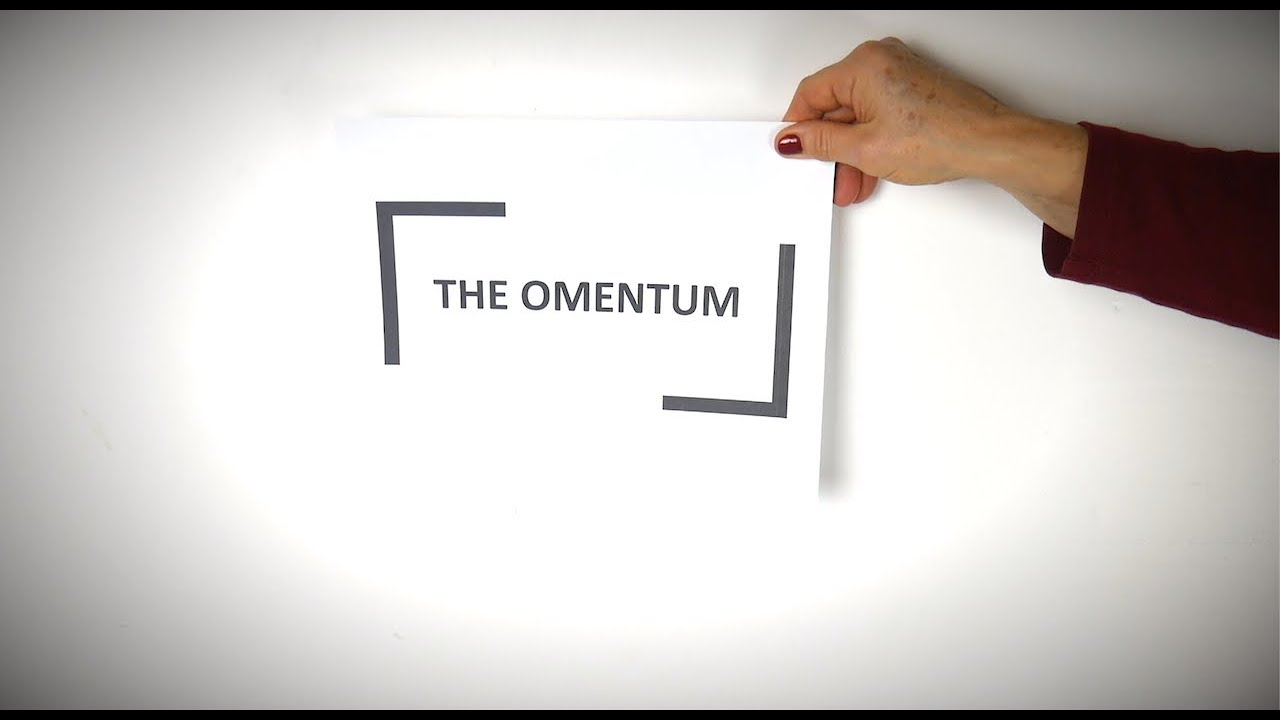 What Is The Omentum?