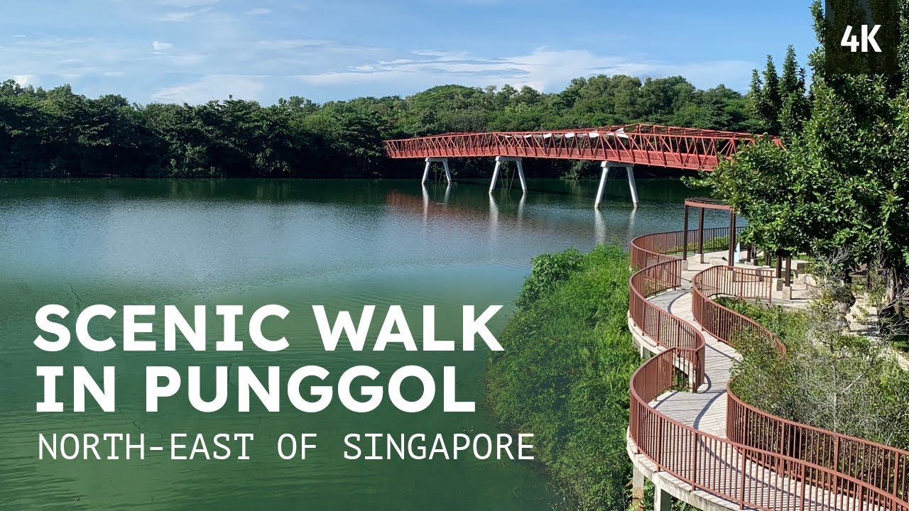 Punggol Point Park to Lorong Halus Wetland - Walk Around Singapore