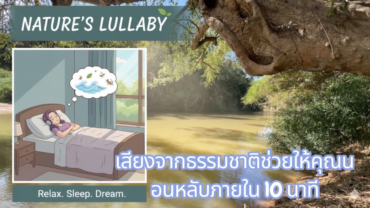 @Nang-Px9 ช่วยให้คุณนอนหลับง่ายขึ้น สำหรับคนนอนหลับยาก ผ่อนคลาย