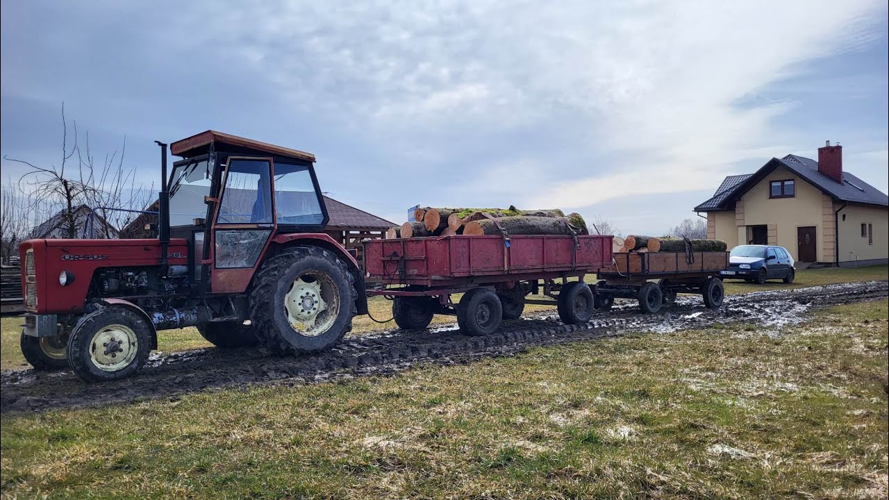 #28 Ursus C-360 w transporcie drewna! | Przepał siuntki | Engine sound |