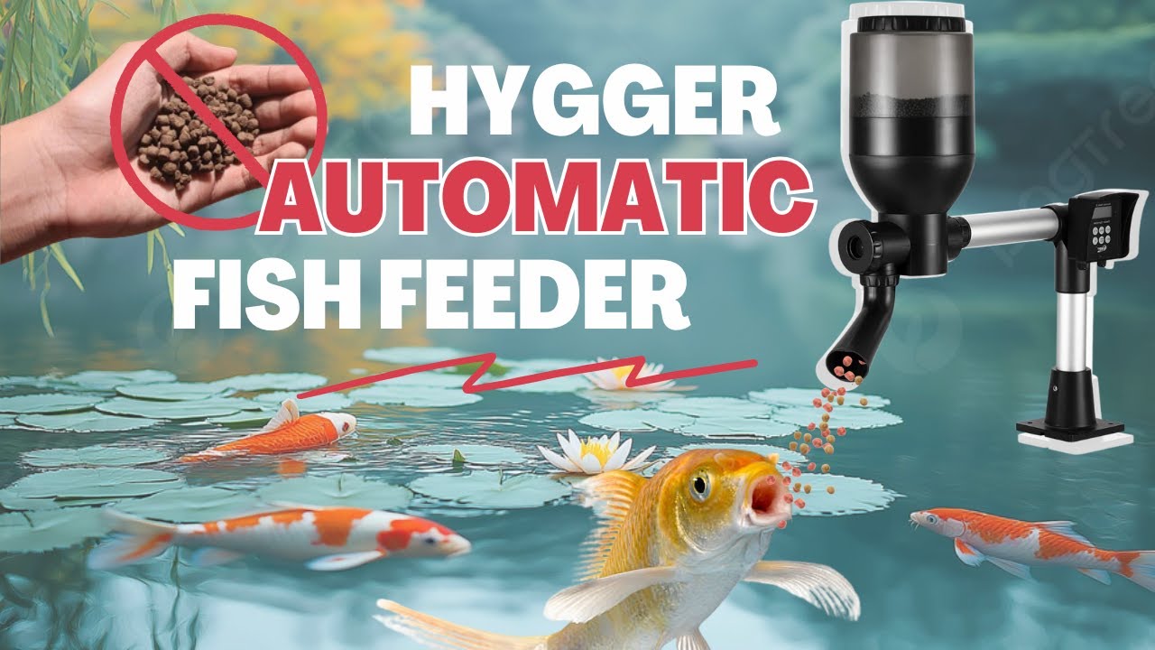 Hygger Automatic Fish Feeder in action