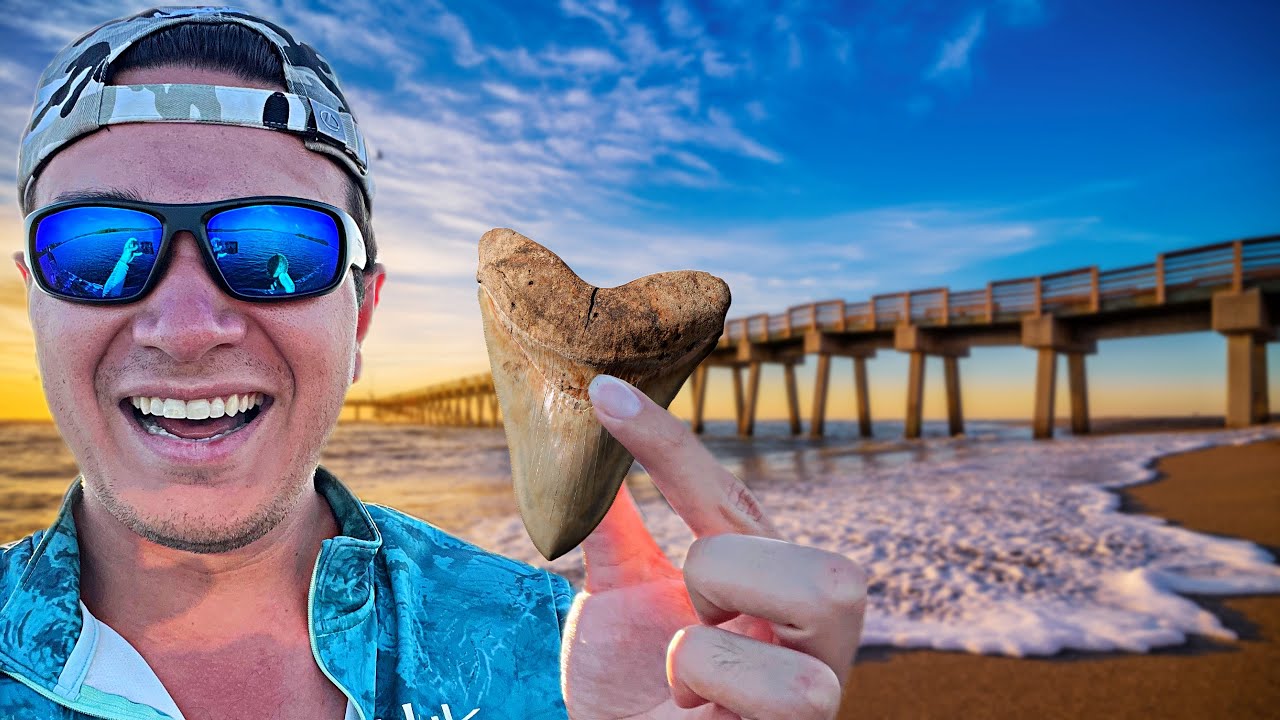 This Beach is Overflowing with SHARK TEETH…