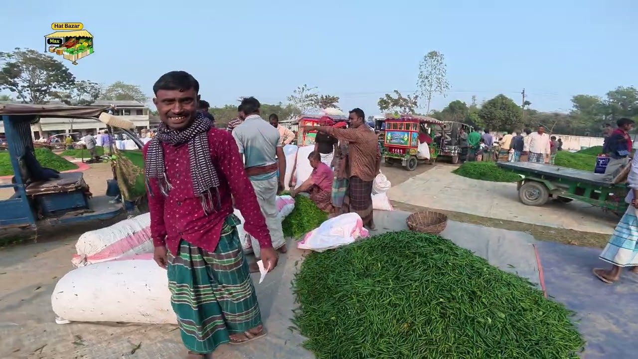 ২৭ জানুয়ারি ২০২৬, কাঁচামরিচের দরদাম আপডেট | বৃহত্তম কাঁচা মরিচের বাজার | Hazipur Bazar, Jamalpur 
