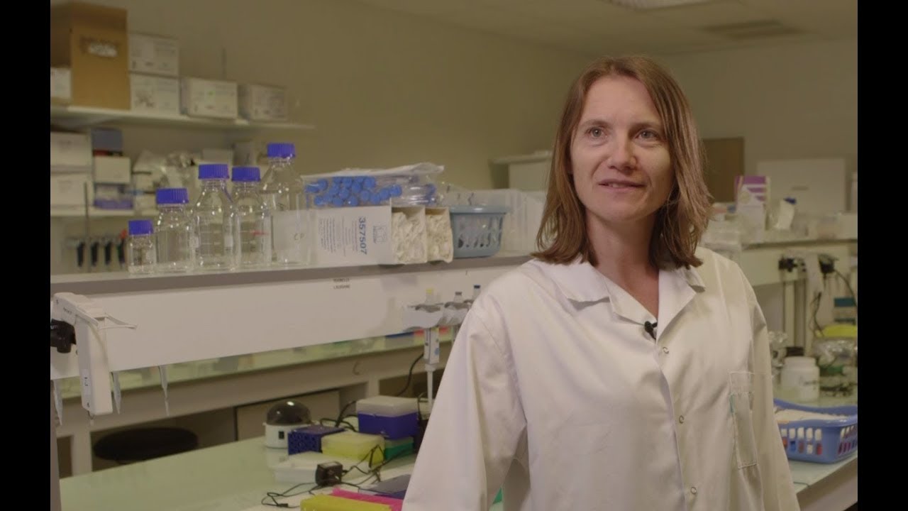 Un biomatériau pour stimuler la formation osseuse