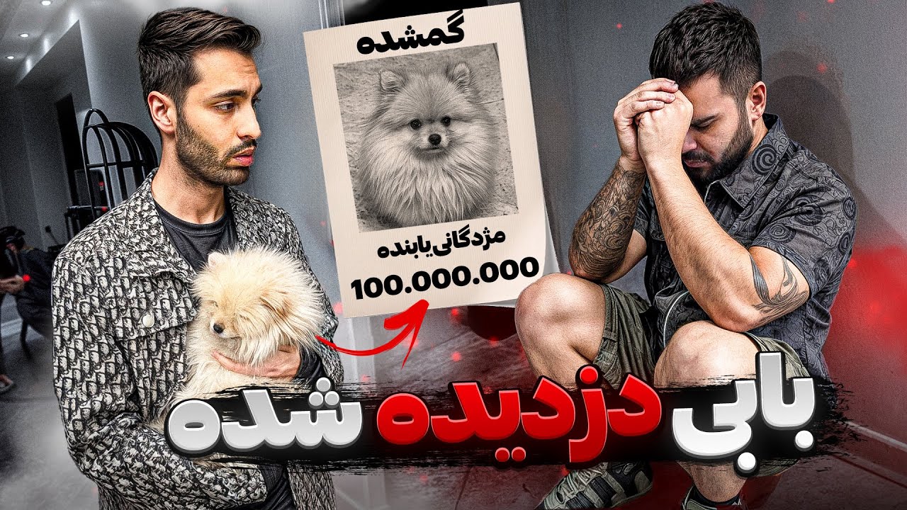 بابی دزدیده شده