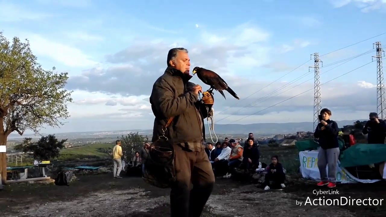 SPETTACOLO DI FALCONERIA con Antonio Centamore al PARCO CAVA - Scordia (CT) 18 novembre 2018