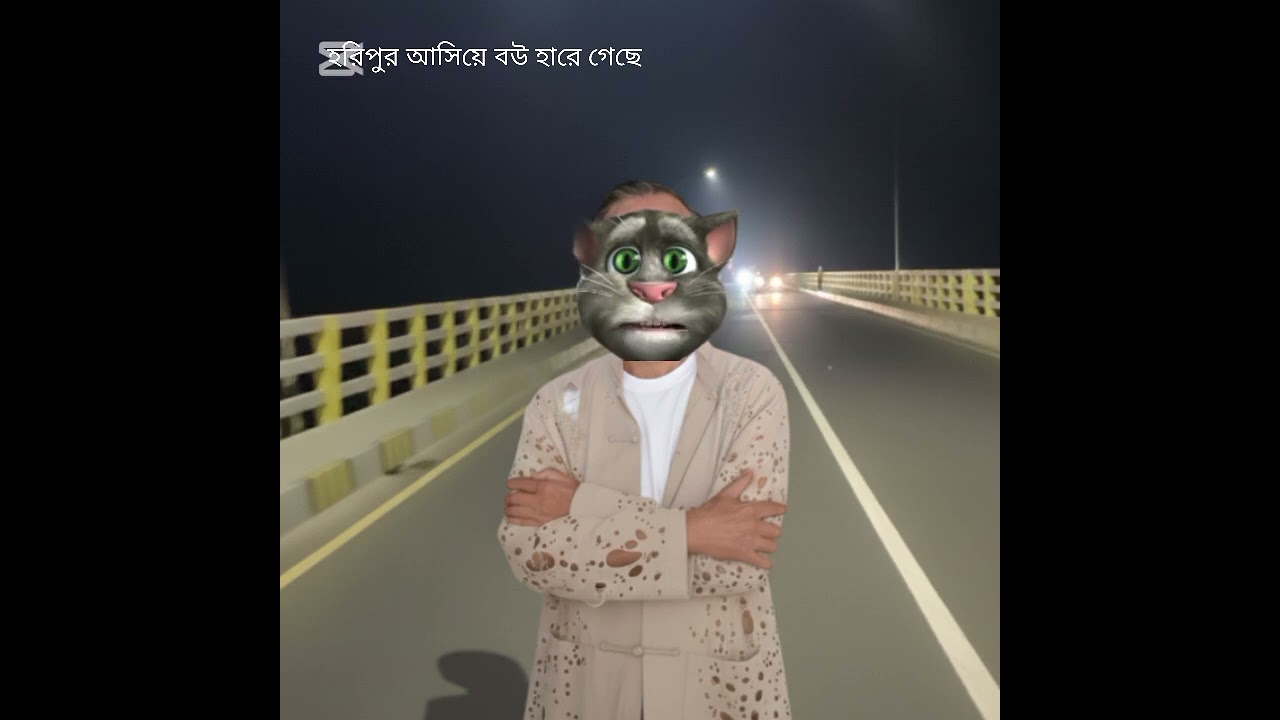 হরিপুর বিরিজ আসিয়া বউ হারায় গেছে 