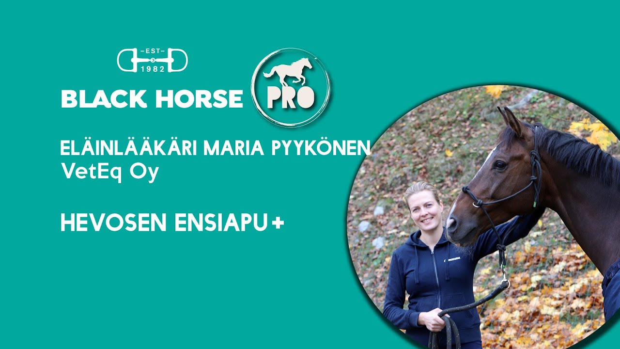 #1 &Auml;hky, Black Horse Pro 