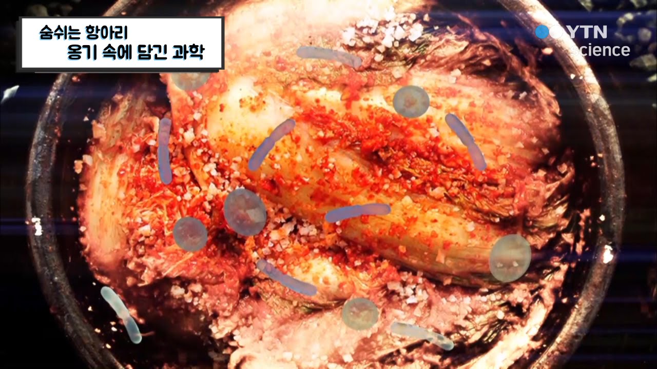 숨쉬는 항아리, 옹기 속에 담긴 과학 / YTN 사이언스