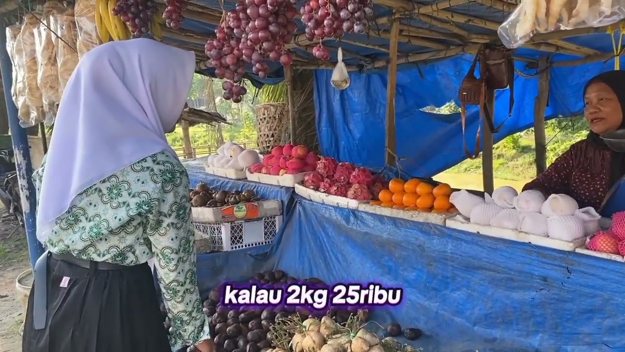 tugas bahasa indonesia bernegosiasi kelas 10 