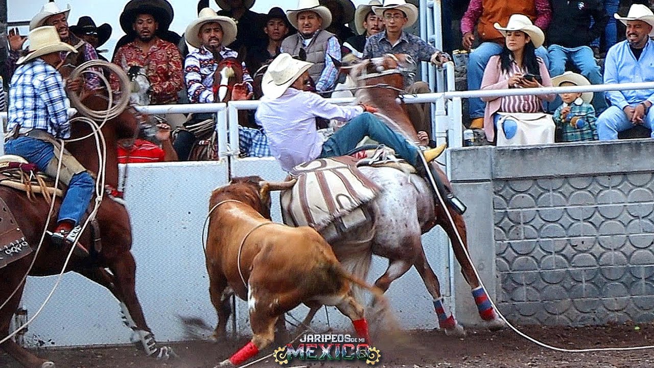 Gran Jugada Jaripeo En La Plaza La Texas de Piedra de Lumbre Guanajuato