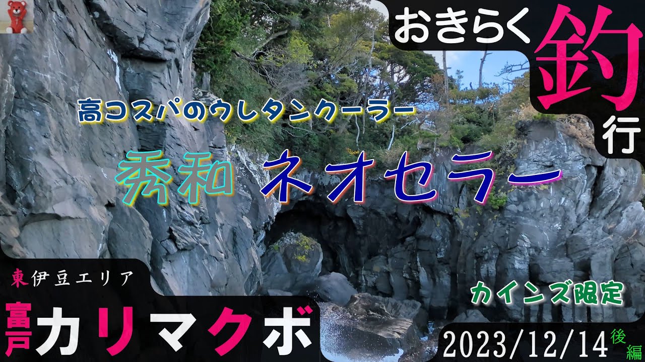 【#富戸・#カリマクボ】#おきらく釣行【2023/12/14後】