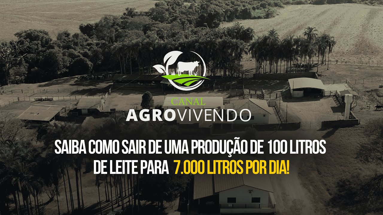 AGROVIVENDO - EP. 1 | Unindo Tradição e Futuro: Como Aumentaram a Produção de Leite