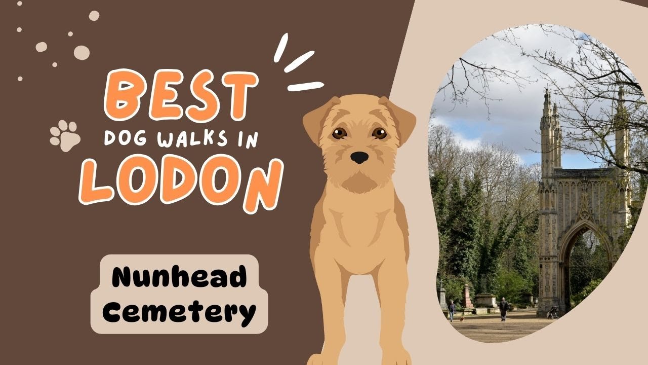 The Best London Dog Walks - Nunhead Cemetery - #dogfriendly #london #dogsoflondon #dogparks