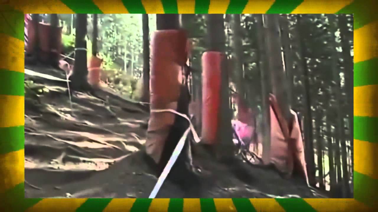 Funny Videos June 2014 #3  Best Funny Fails Compilation Funny Vines & Pranks Funny Compilation