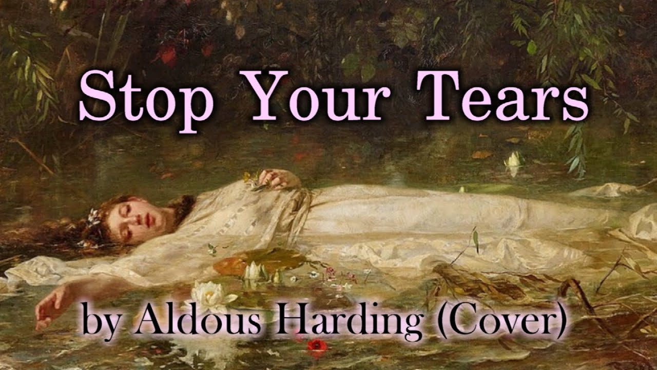 Stop Your Tears by Aldous Harding (Cover)