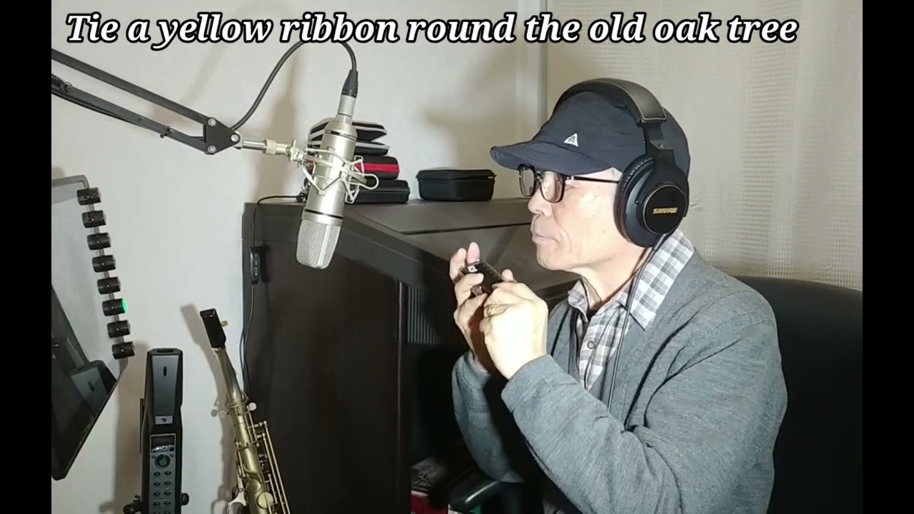Tie a yellow ribbon round the old oak tree(#2022)/Tony Orlando &Dawn