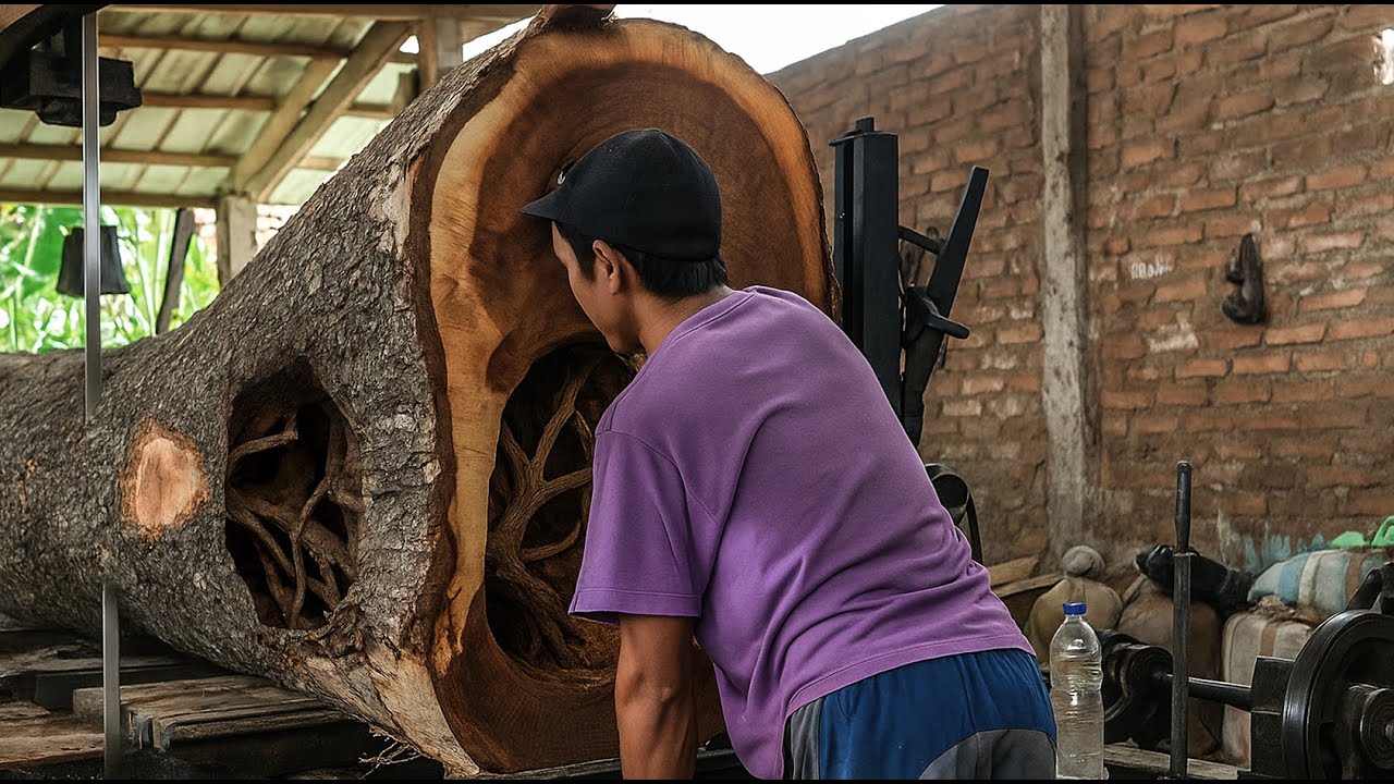 Giant Trembesi Tree Cut Down ‼ What We Discovered Inside Was Jaw Dropping