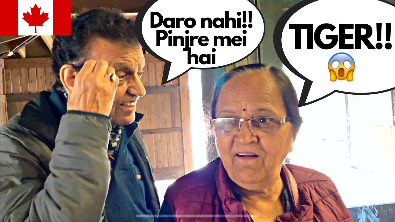 PARENTS saw a TIGER in TORONTO 😱 | Canada Hindi Vlog | Toronto Zoo | Parents in Canada