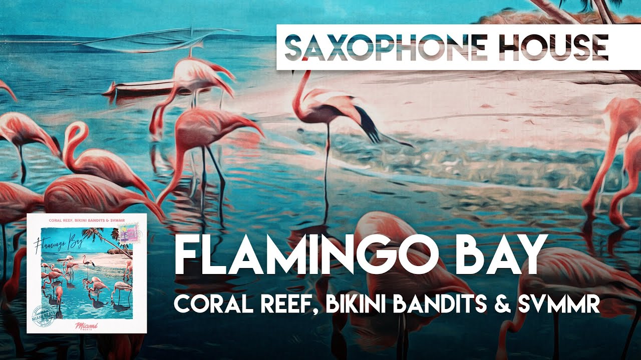 Coral Reef, Bikini Bandits & svmmr - Flamingo Bay