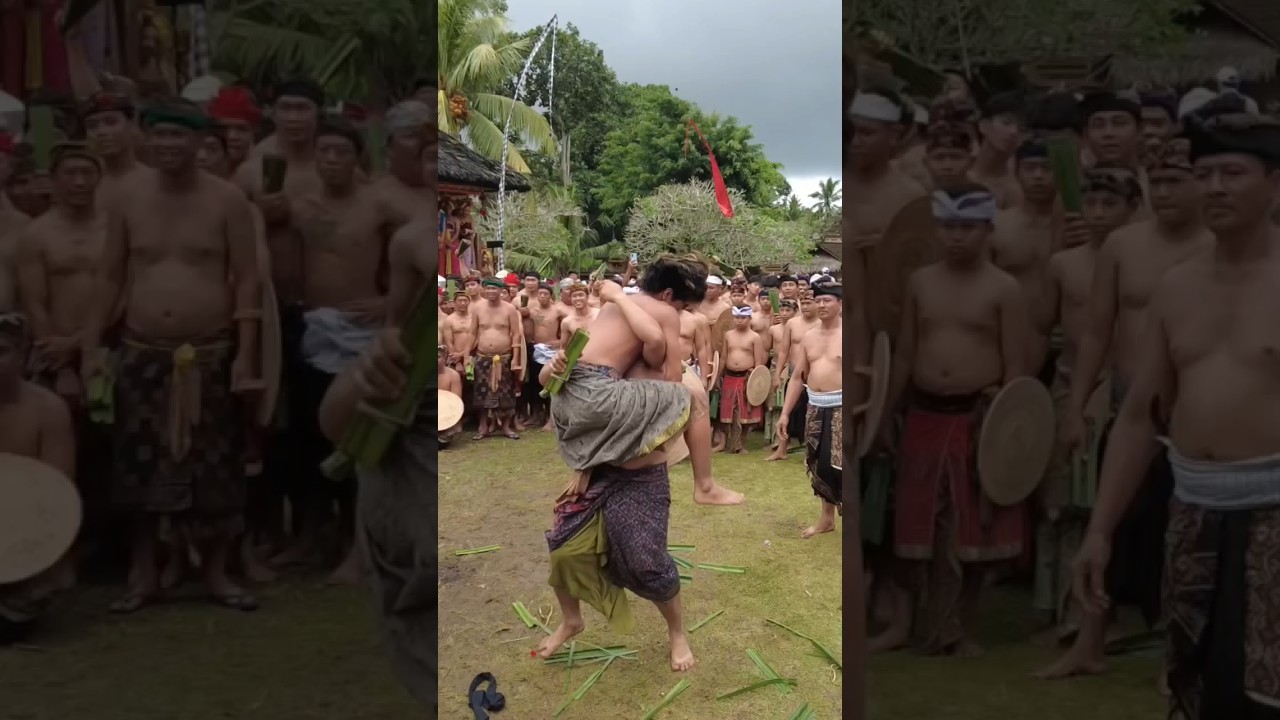 Tradisi Unik Di Desa Adat Tenganan Dauh Tukad Karangasem Bali