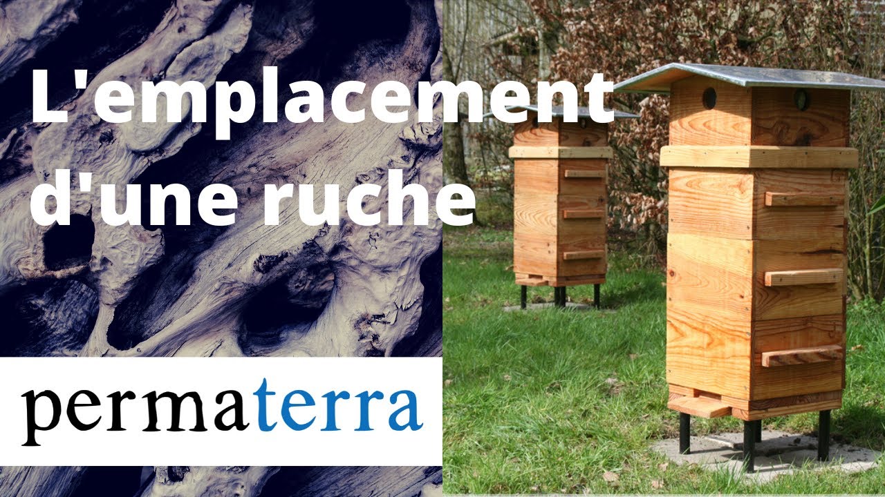 Emplacement d'une ruche : une responsabilité - Apiculture de Sauvegarde