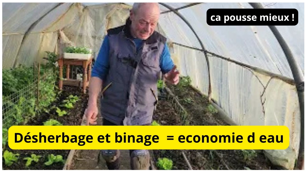 Désherber et bînage au jardin  de Philippe 