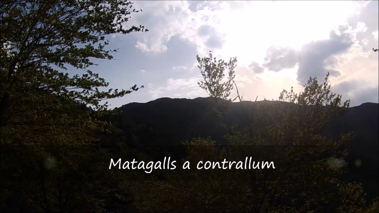 Matagalls pel Coll Pregon