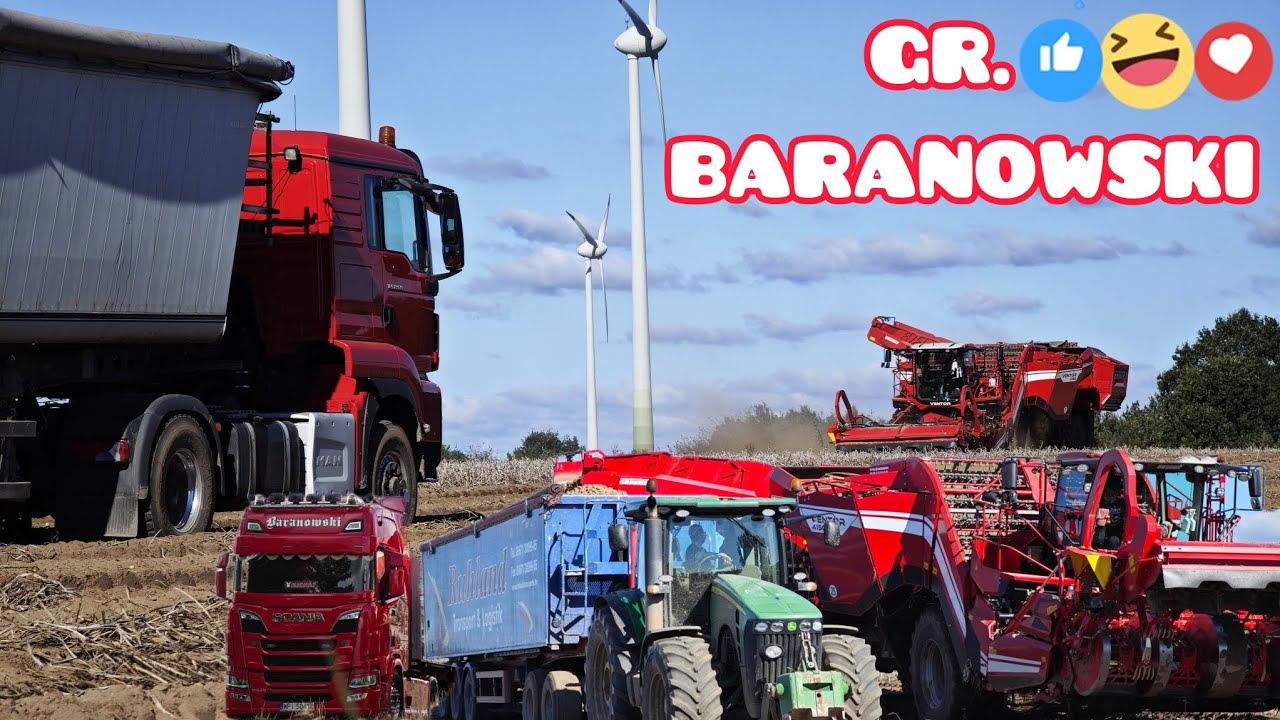 Zbiór ziemniaków 🥔 GR.Baranowski🌾🔥🚜