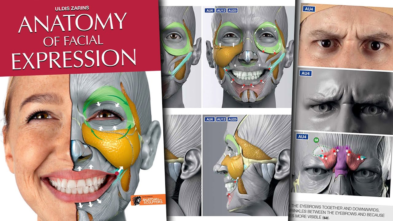 Anatomy of Facial Expressions 🔥book preview Uldis Zarins (Anatomy for Sculptors & artists)