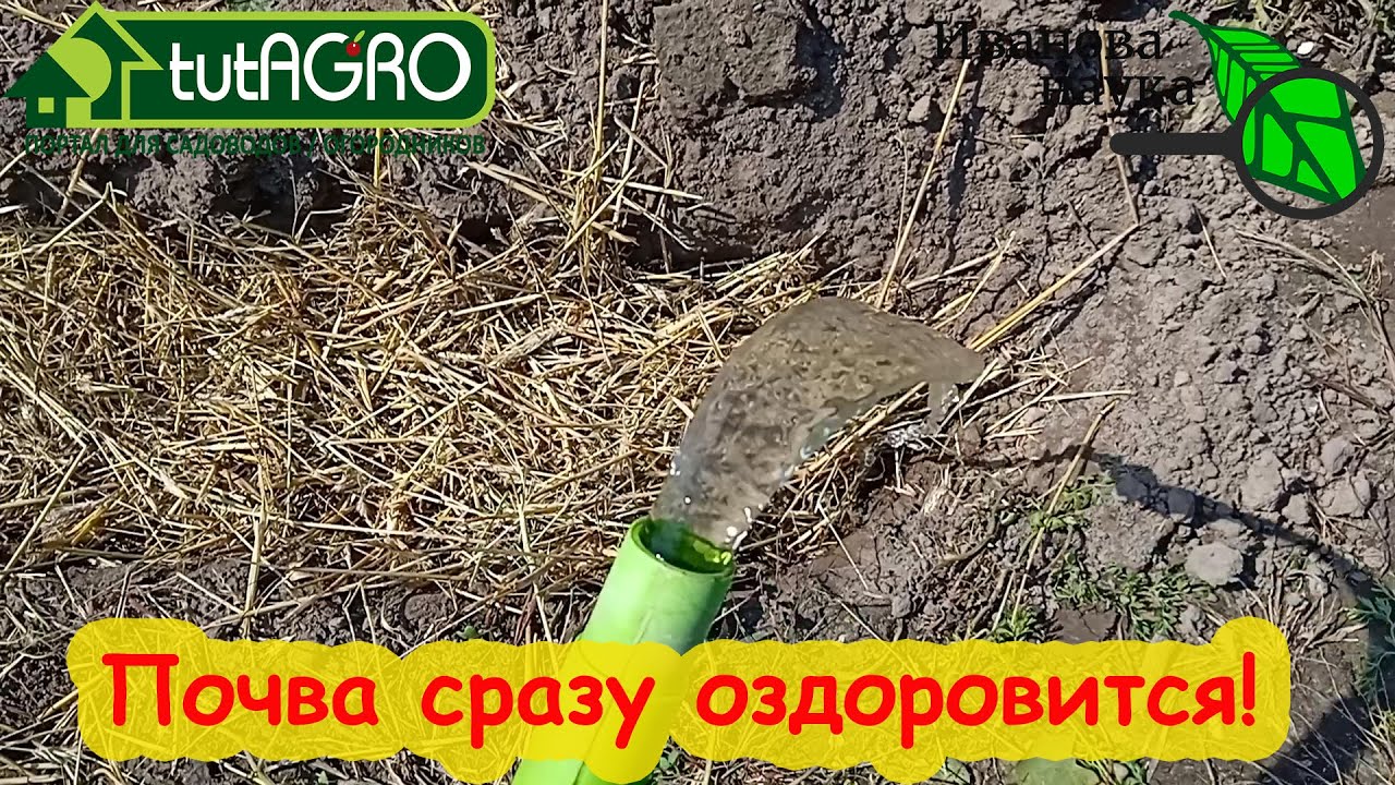 ОБЕЗЗАРАЖИВАНИЕ, ОБЕЗВРЕЖИВАНИЕ и ДЕЗИНФЕКЦИЯ ПОЧВЫ ПОСЛЕ БОЛЕЗНЕЙ БИОТРАНШЕЙНЫМ МЕТОДОМ.