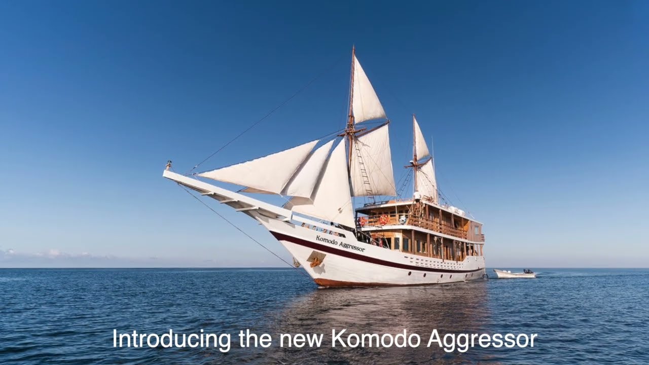 Aggressor is back in Komodo