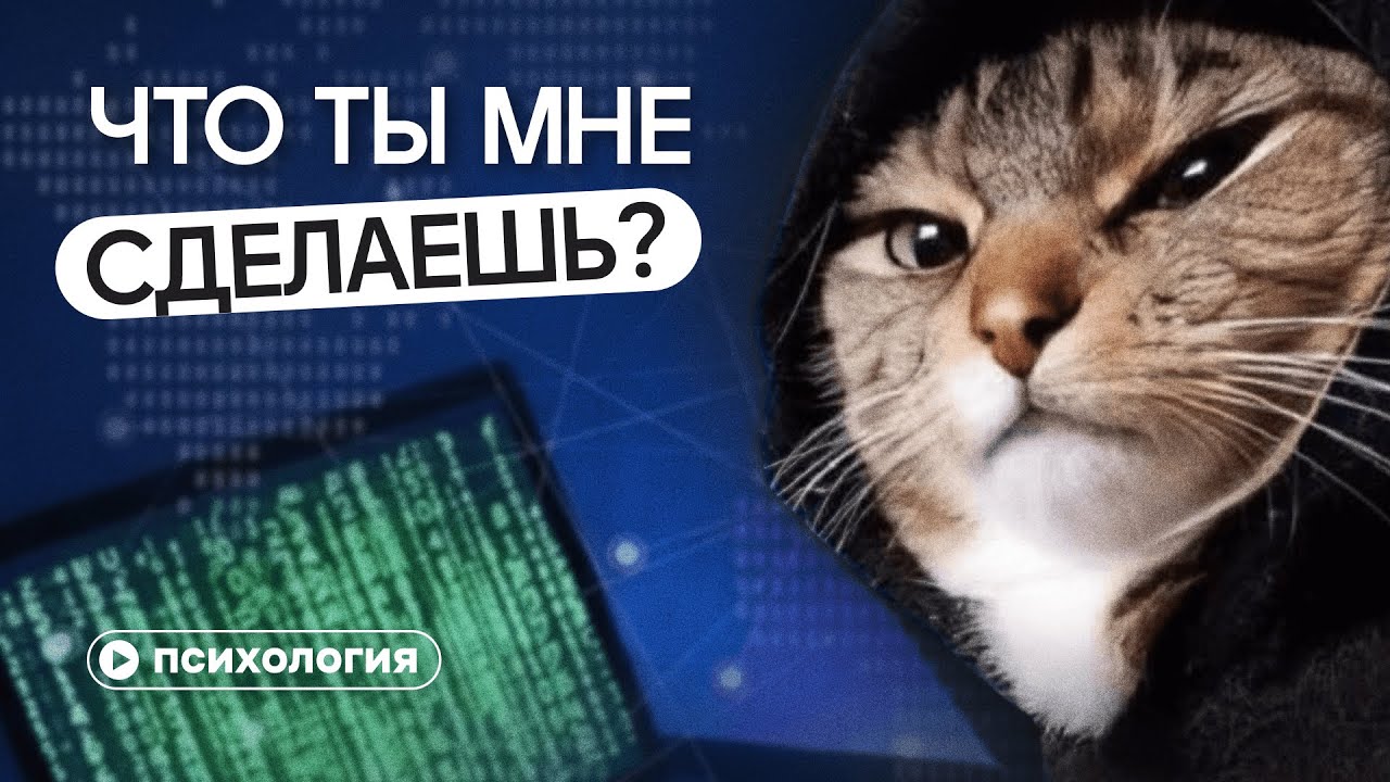 Кибербуллинг: главная пытка и наслаждение интернета. Почему мы стали злее?