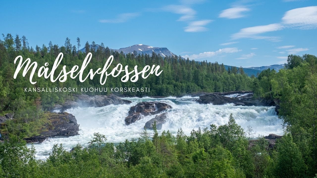 Målselvfossen. Norjan Kansalliskoski kuohuu korskeasti.