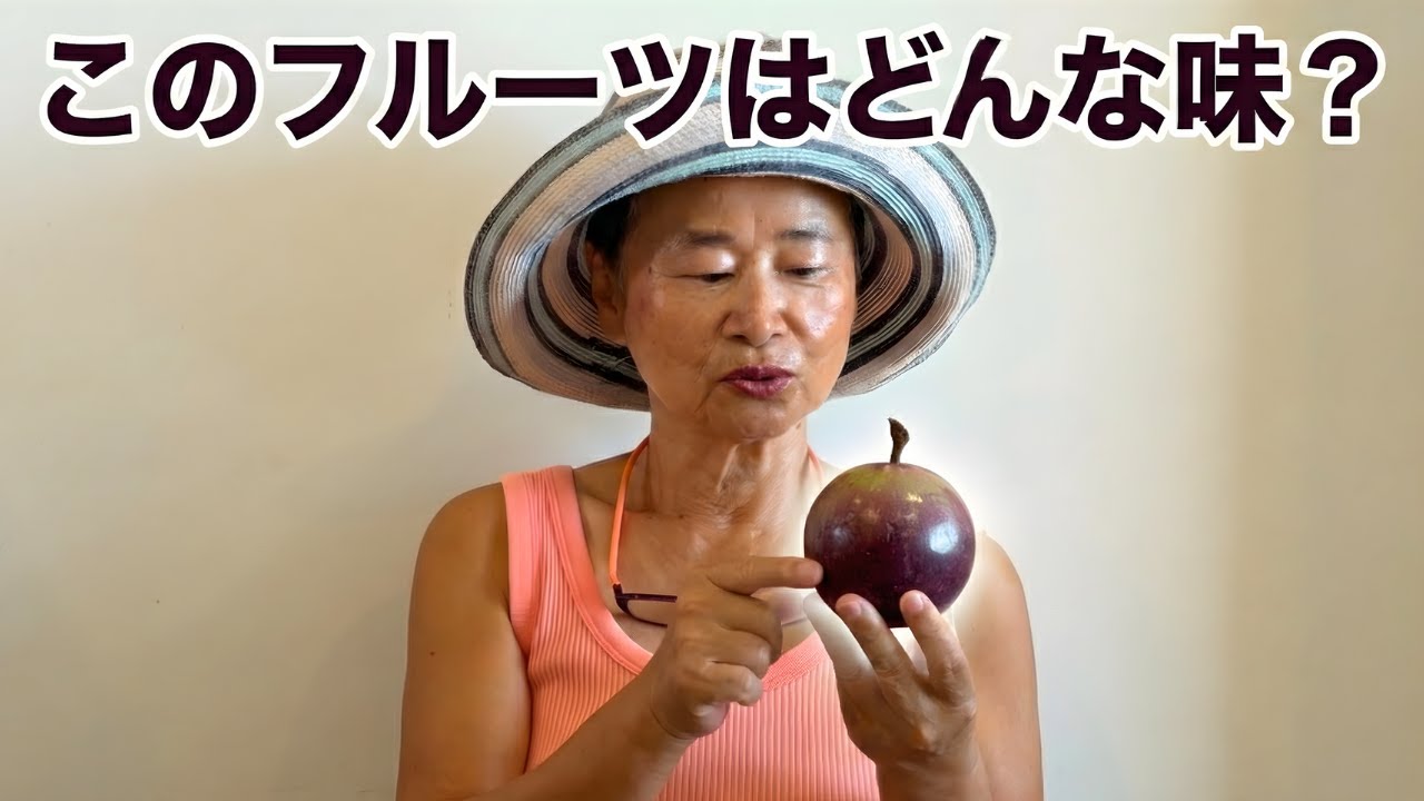 スターアップルを食べてみました🍏どんな味？ | 東南アジアのフルーツ試食