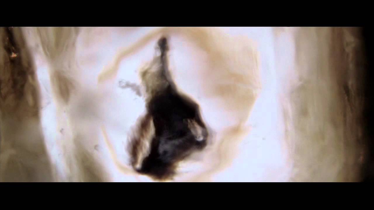 Silverbullit feat. Freddie Wadling - Interstellar Dwellar