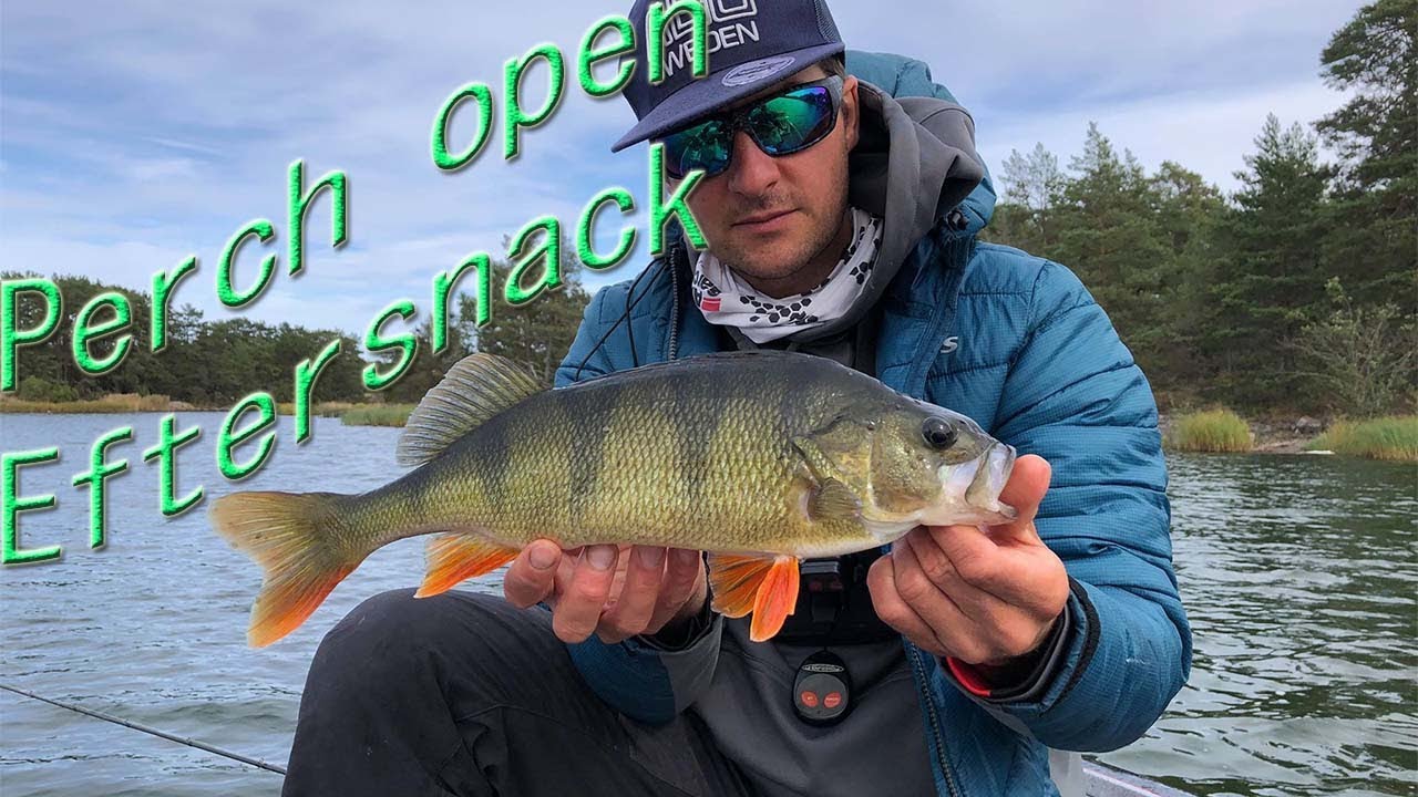 Eftersnack - 1a plats Västervik Perch Open 2019
