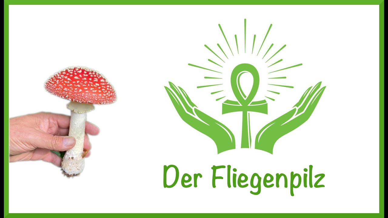 Der Fliegenpilz, giftig oder göttlich