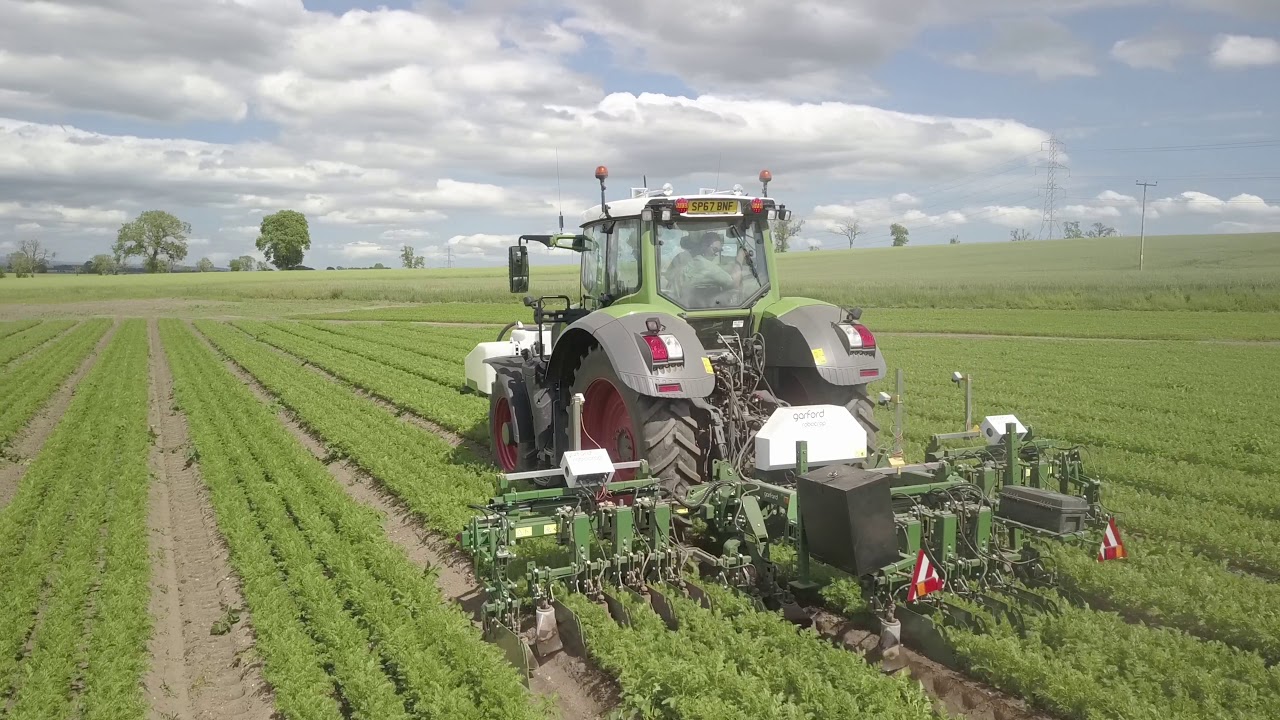 Inter-row weed spraying carrots in Perthshire, Fendt and Garford inter-row sprayer