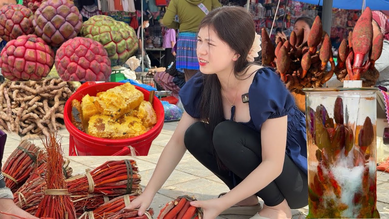 RỪNG THẢO DƯỢC MỌC Ở CHỢ PHIÊN | EM MỶ TV